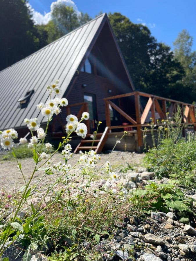 Wild Cabin Malaia Exterior photo